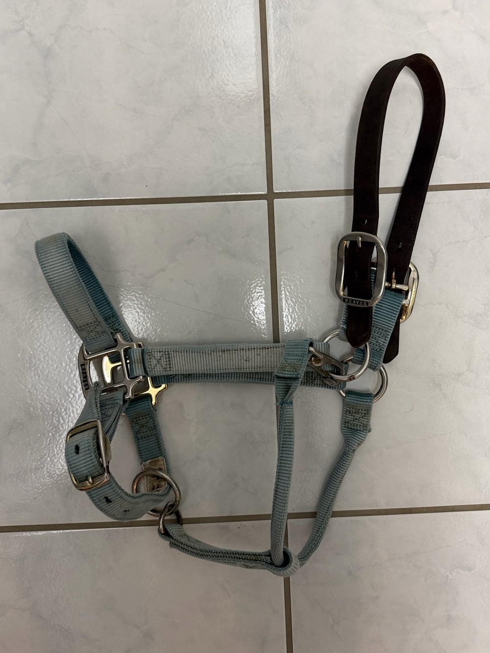 Weaver Equine Breakaway Adjustable Chin & Throat Snap Average Horse Halter